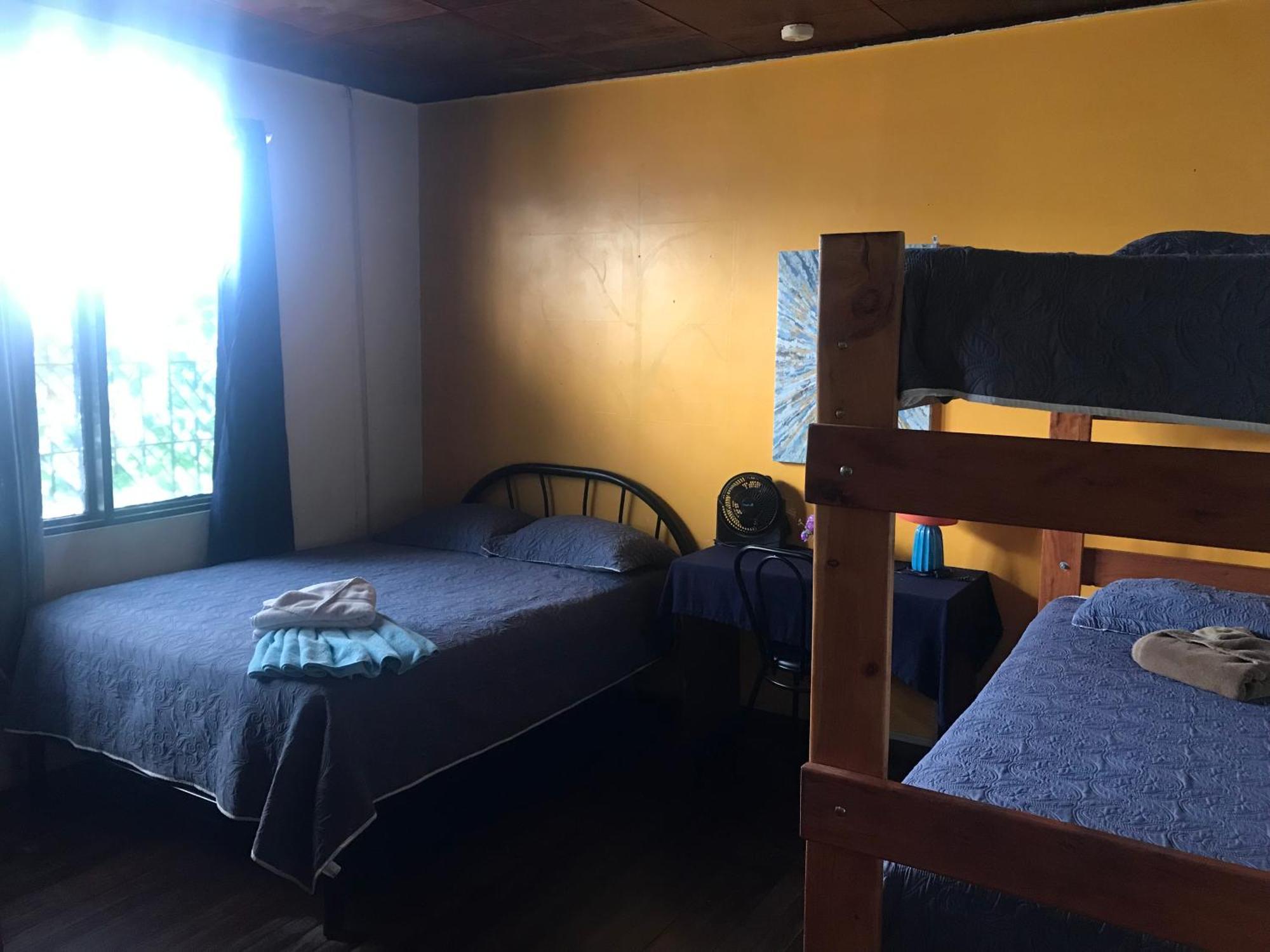 In The Wind Hostel And Guesthouse سان هوزيه المظهر الخارجي الصورة