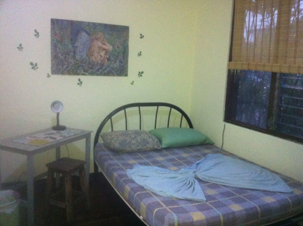 In The Wind Hostel And Guesthouse سان هوزيه المظهر الخارجي الصورة