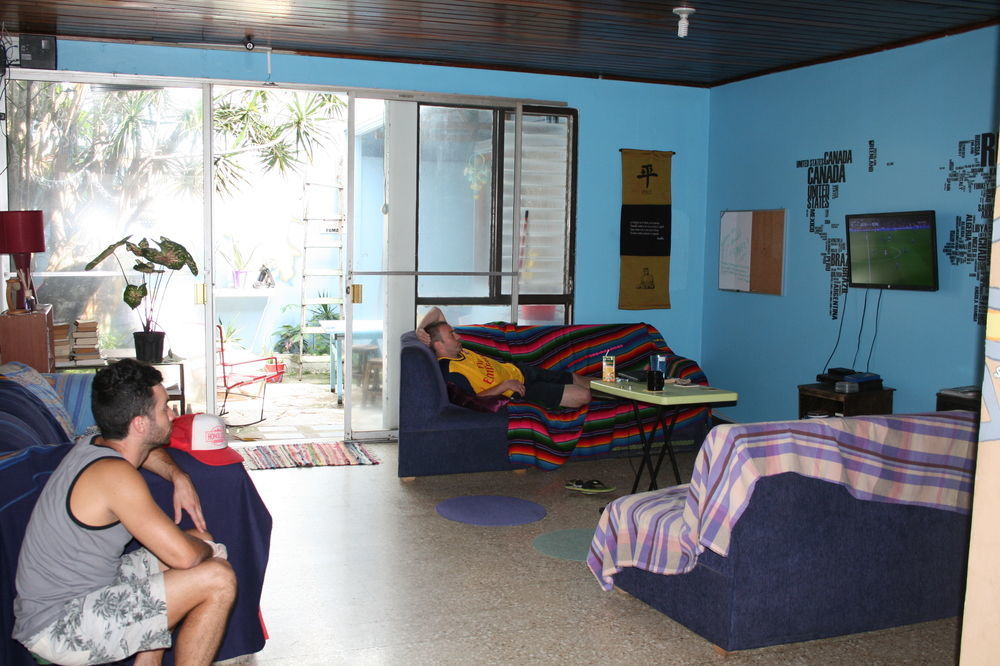 In The Wind Hostel And Guesthouse سان هوزيه المظهر الخارجي الصورة