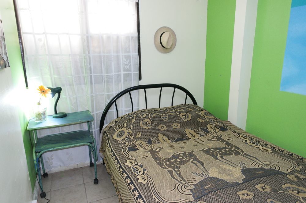 In The Wind Hostel And Guesthouse سان هوزيه المظهر الخارجي الصورة